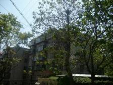 郎茂山四区中间楼层满五唯一看房方便