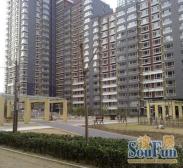 远洋山水1室1厅西