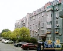 西绒线 3室1厅 南 北