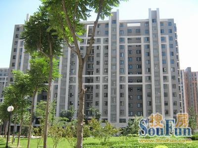 北苑家园望春园1室1厅1卫东南朝向6300.00元/月出租