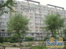 上河村8室南北朝向8800.00万元/套出售