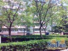 红星北里中间层大两居室,格局好