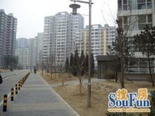 远洋山水2室2厅东北