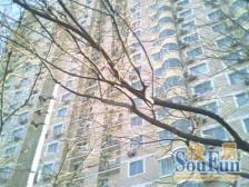 南北通透双卫三居,2梯5户,100万精致装修