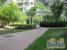 高楼层正规一居室,满五年商品房,仅有契税