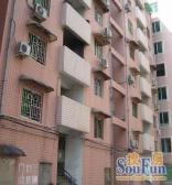 红星楼3室1厅南北