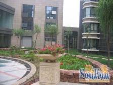 向阳楼 板楼低楼层 采光充足,交通便利