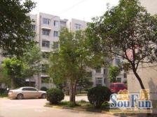 太平洋东区 两室朝阳 满五唯一 双气带小房