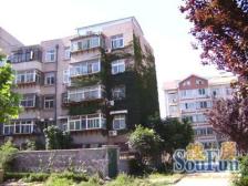 化纤小区 低层 一室一厅 南向 户型方正 好用