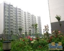 河畔中高楼层大一居,视野好,无遮挡,可观景