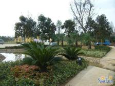 香麓苑二楼 南入户 精装修带地暖 南北两个露台