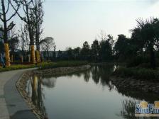 电梯洋房四月五 空中观景别墅 毛坯房