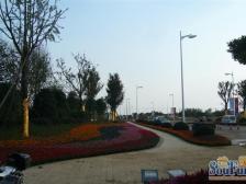 恒大金碧天下 南侧带露台 四室三卫 私密性好