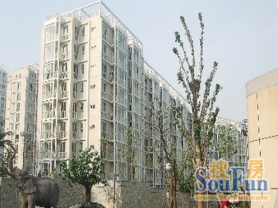 ÁúÔóÔ·¶«Çø2ÊÒ1Ìü1ÎÀÄϱ±³¯Ïò6000.00Ôª/Ô³ö×â