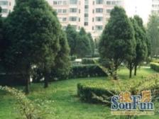 中海雅园5室2厅东南北