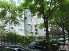 东花市北里西区2室1厅东