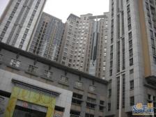 店长力推,难得一见顶复户型,满五唯一视野开阔