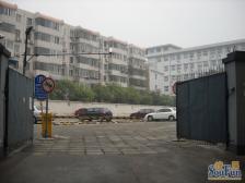 新风南里3室1厅南北
