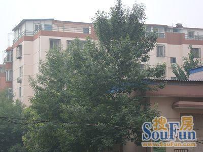 Õû×⡤Îå¿ÃËÉ¡¤ÓÀ¶¨Â·Î÷À2ÊÒ