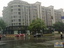 丰汇园小区3室1厅南北西