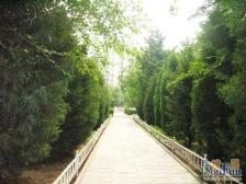 新上好房椿树园双南向两居室,高楼层视野好,有钥匙看房随时