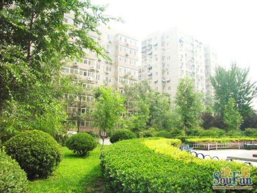 宣武门椿树园奥运社区东西3室