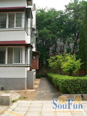 左家庄东里2室1厅1卫南北朝向6500.00元/月出租