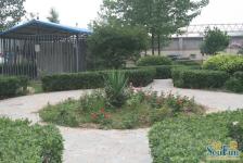 西引力1室1厅南