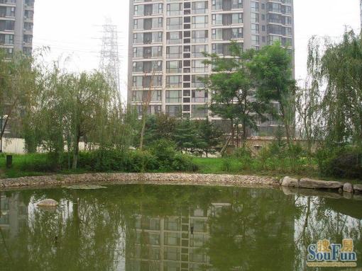 北苑家园望春园1室1厅1卫北朝向5500.00元/月出租