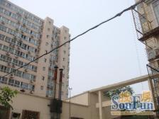 新文化街小区、新文化街80号楼