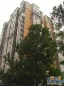 东城区紧邻永定门地铁,luohu的看过来