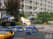����ܰ��С������ 