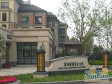 绿城百合 满五年,中高层,采光充足交通便利