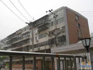 红居南街2室1厅东西