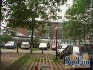 培新街乙5号院3室1厅南北