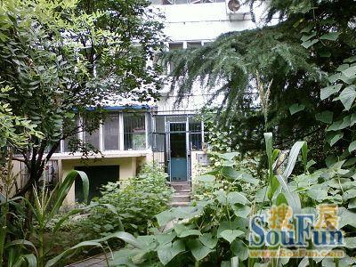 七贤村2室1厅1卫南北朝向7800.00元/月出租