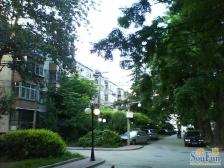 白家庄八0东大桥农业部家属楼户型方正无遮挡