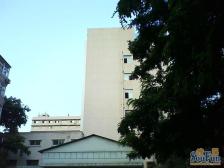 (新上八0)东大桥地铁口,四轨交汇电梯无遮挡管理好