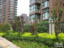 东恒时代二期A区5号楼南向一居室,高层,满五唯一