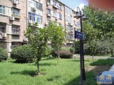 向阳楼 房子 满五唯一 精装修 看房方便 看房方便