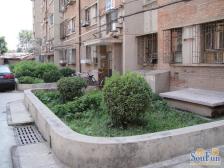 向阳楼 2室1厅 南