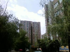万寿路·万寿路甲15号院五区·3室·1厅