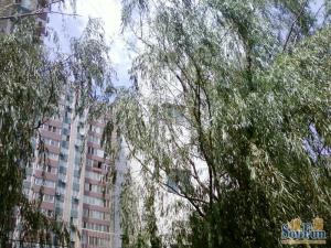 万寿路甲15号院四区1室1厅南
