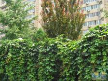 2004年南北通透,板楼好楼层,一梯两户