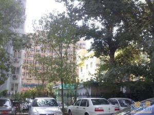 青年湖东里,近公园,商品房,低楼层。
