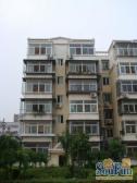 梨园东里南区2001年商品房中间层东南向采光好