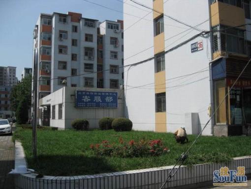 整租·苹果园·海特花园·3室