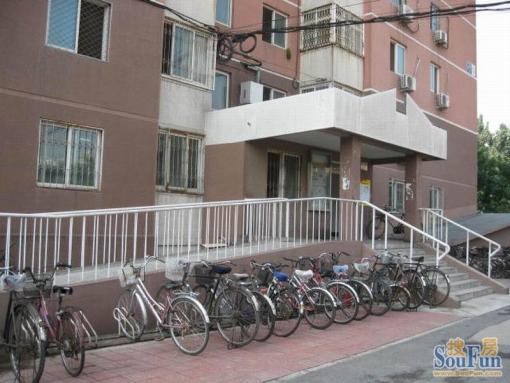 苹果园四区3室1厅1卫南北朝向4600.00元/月出租