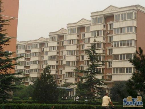 绿岛家园2室1厅1卫南北朝向2800.00元/月出租