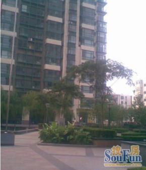 450x338c.jpg